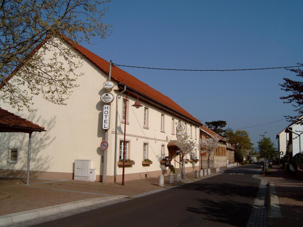 Garni Zum Adler Hotel Gensingen Zewnętrze zdjęcie
